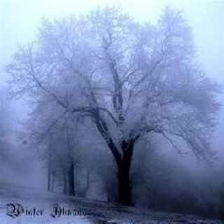 Winter Almanac