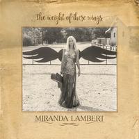 Tin Man - Miranda Lambert (PT karaoke) 带和声伴奏