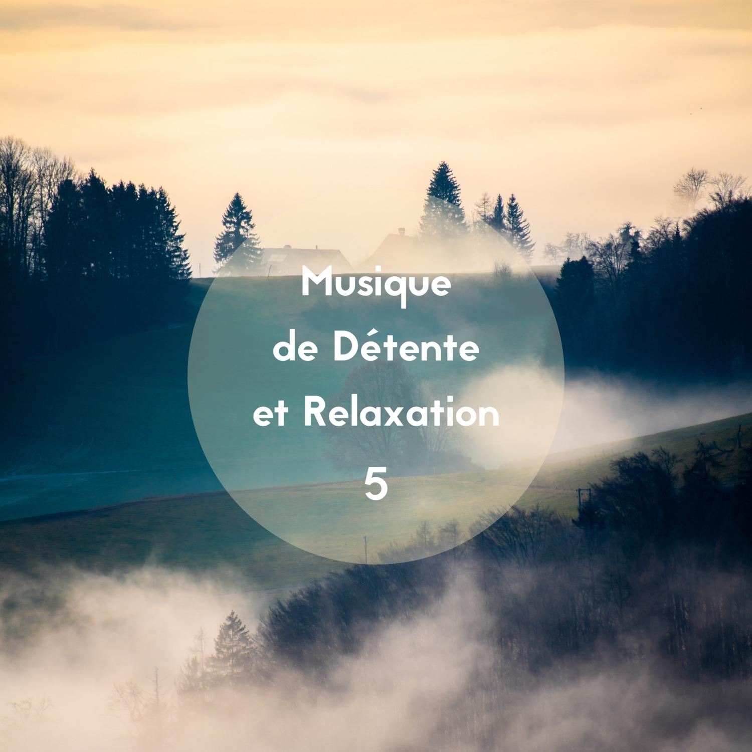 Musique de détente et relaxation, Vol. 5