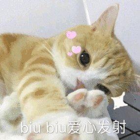 提高学习/工作/睡觉质量的纯音乐（一）