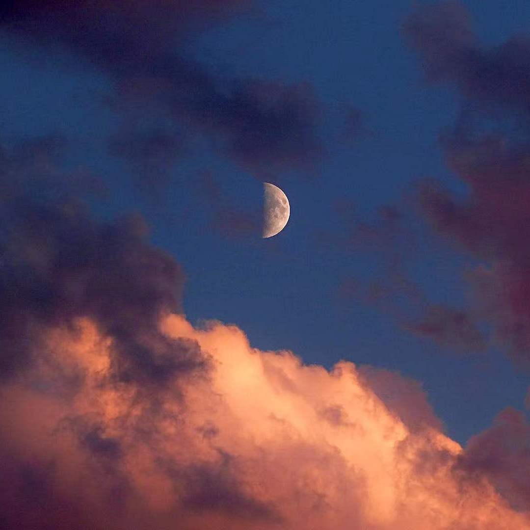 Moon Talk (月光专线)