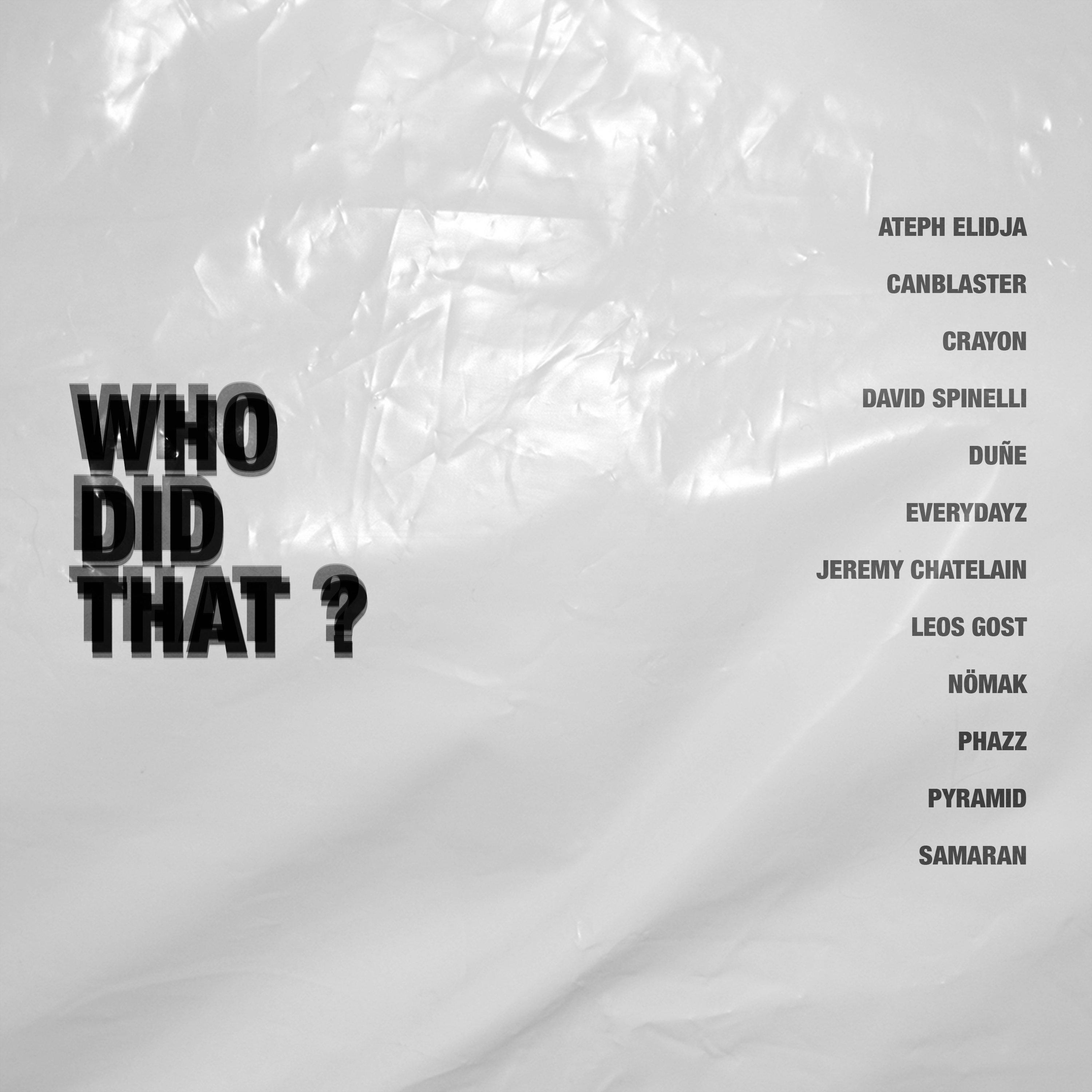 Who did that ? - Outro