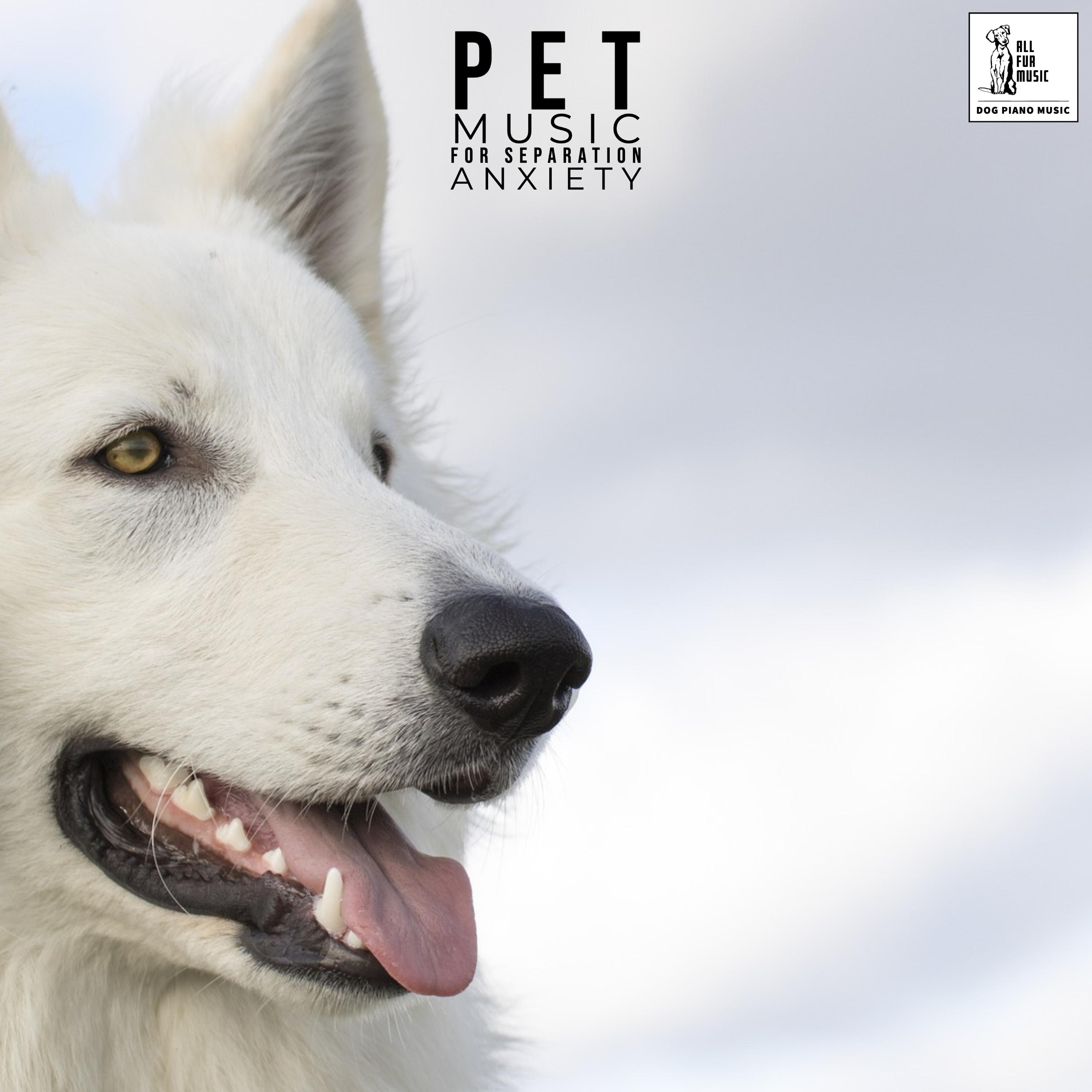 Pet Music For Separation Anxiety