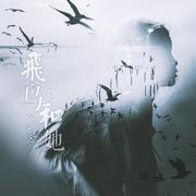 《飞鸟和她》《七月与安生》印象曲》