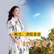 金桂花开 (独唱版)