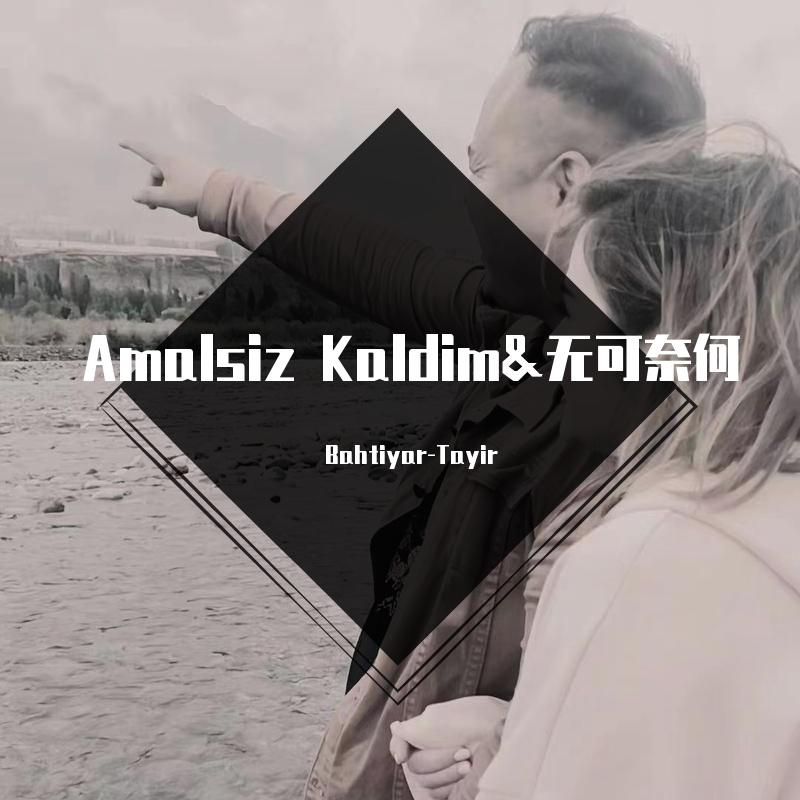 Amalsiz Kaldim&无可奈何