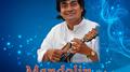 Mandolin U. Srinivas, Vol. 4专辑