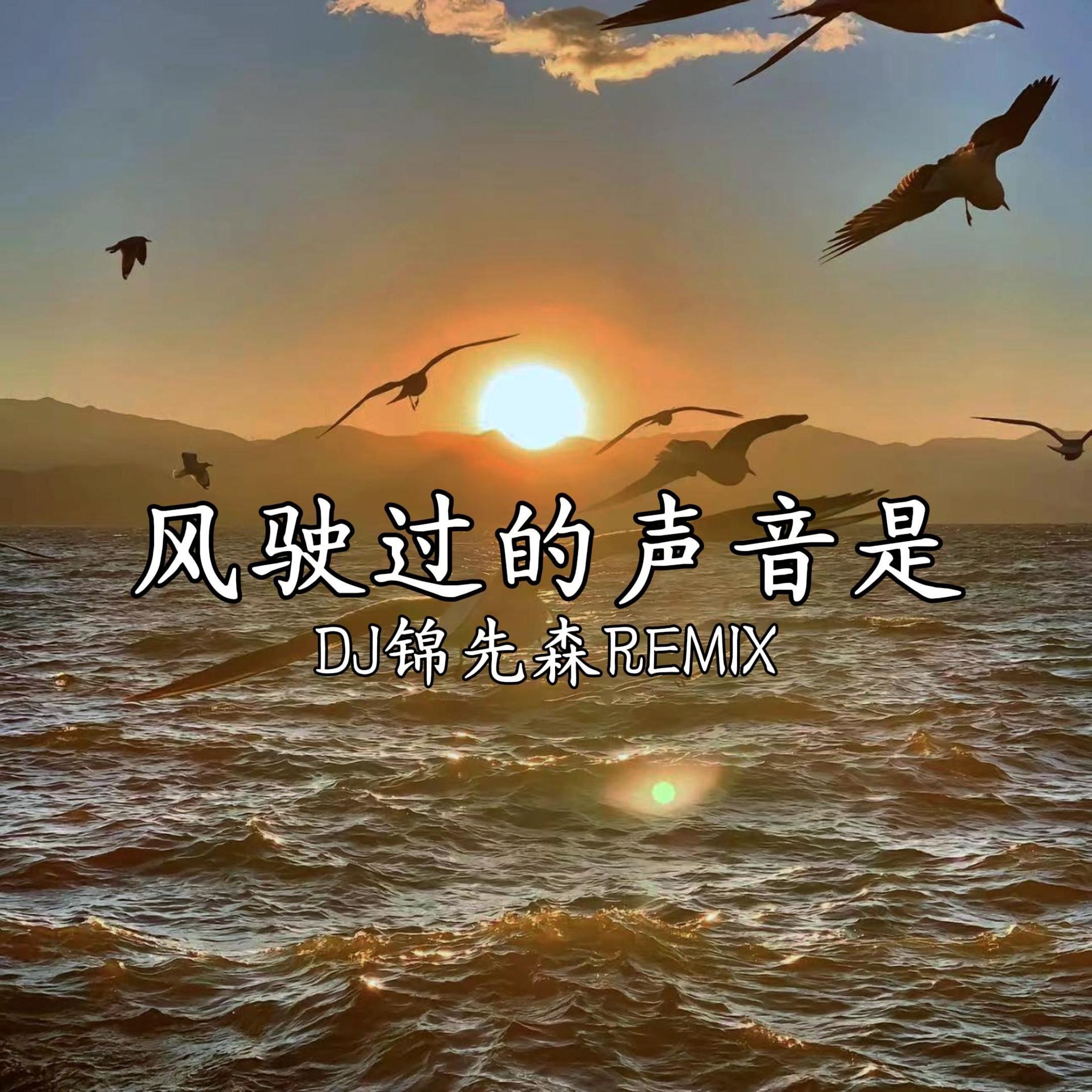 风驶过的声音是（DJ锦先森 Remix）