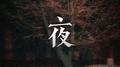 夜专辑