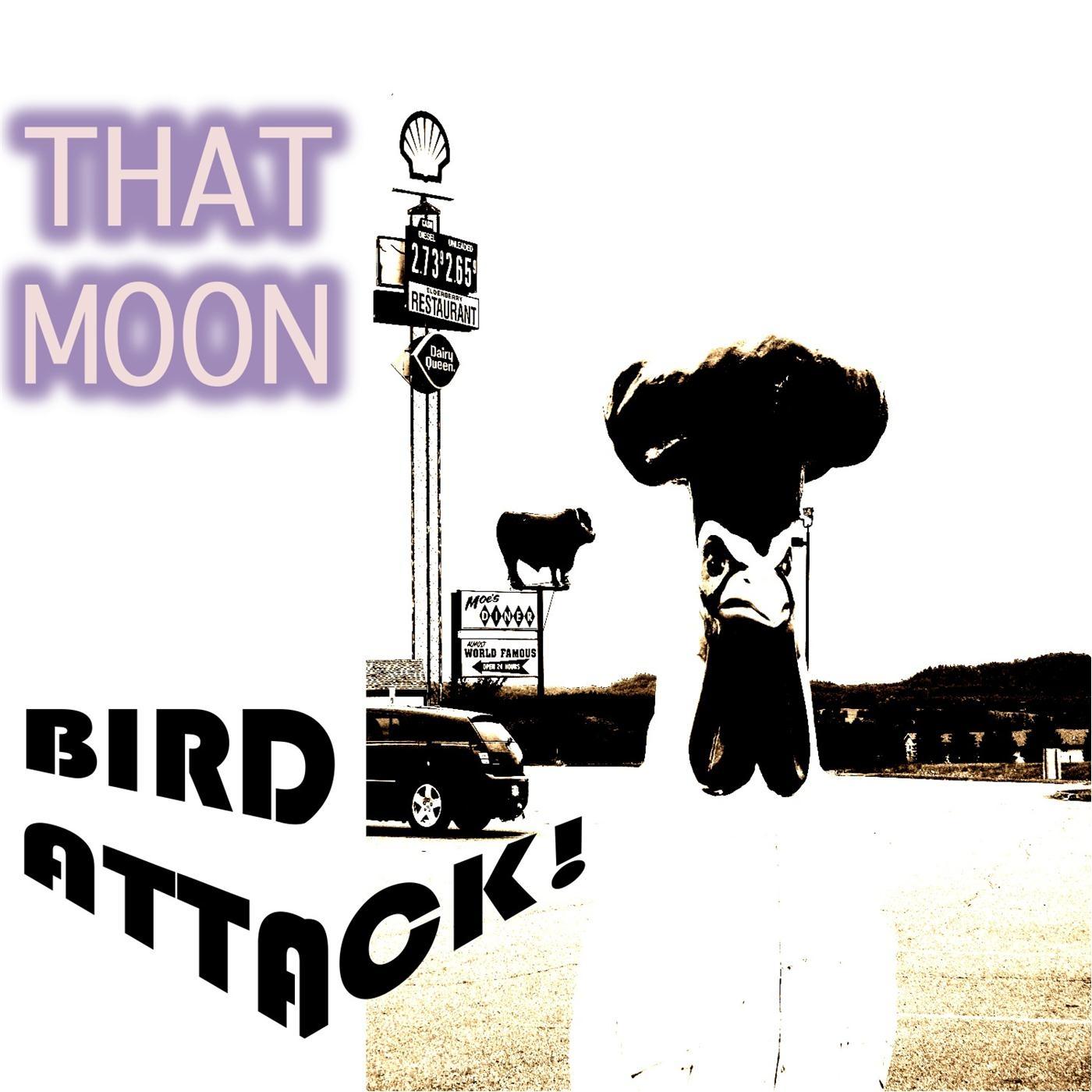 Bird Attack!