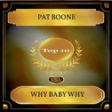 Why Baby Why (Billboard Hot 100 - No. 05)专辑