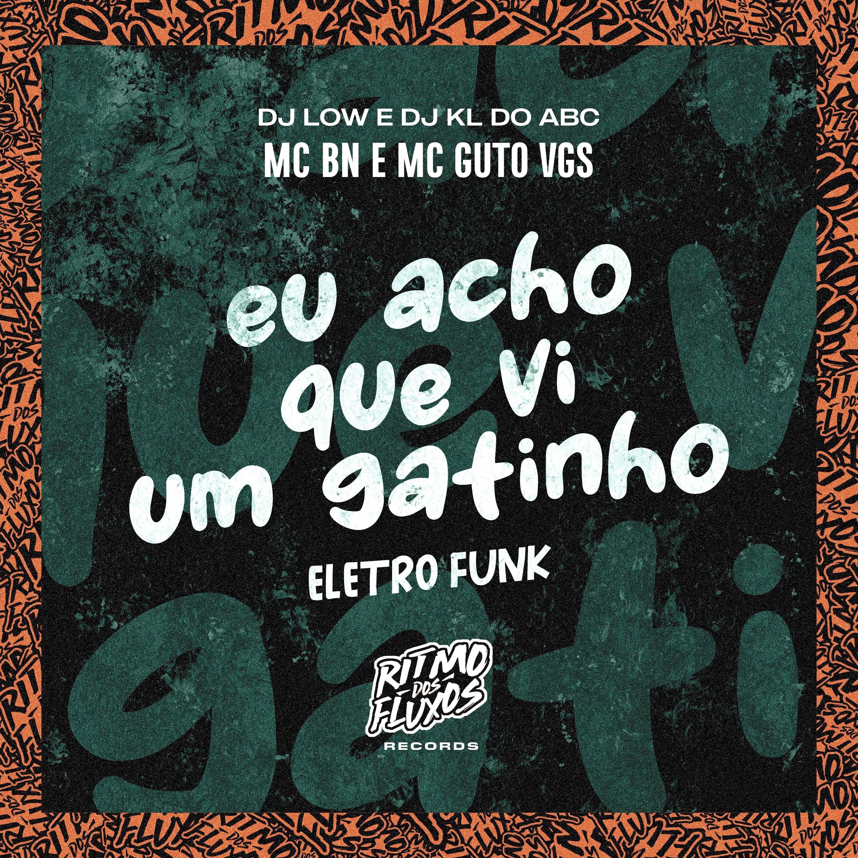 Eu Acho Que Vi um Gatinho (Eletro Funk)