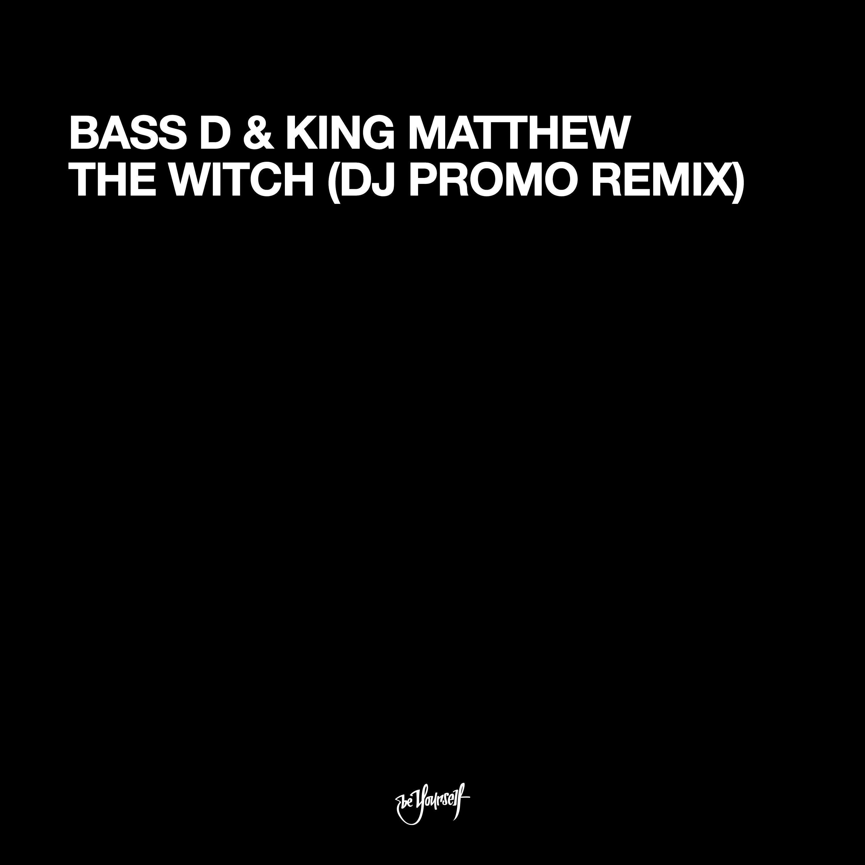 Bass-D - The Witch (DJ Promo Remix)