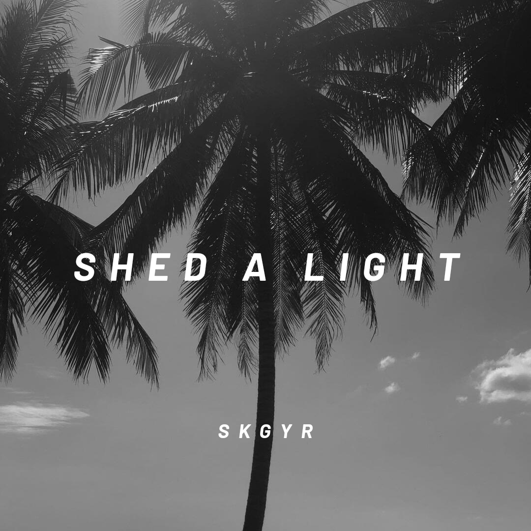 Robin Schulz-Shed a Light(zZAZz remix)