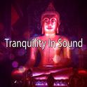 Tranquility In Sound专辑