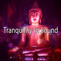 Tranquility In Sound专辑