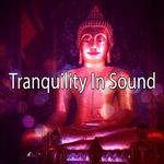 Tranquility In Sound专辑