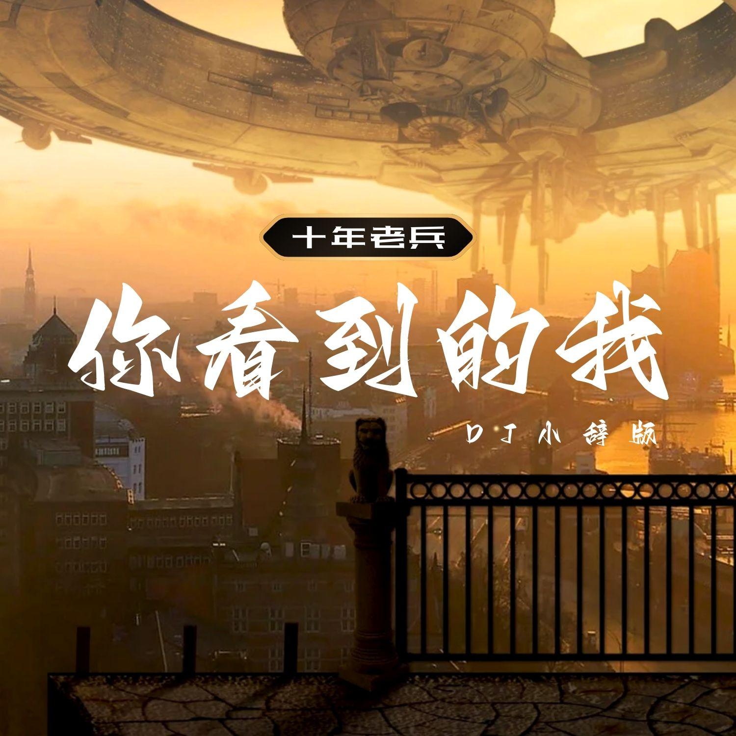 你看到的我