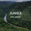 Paul Miller - Jungle