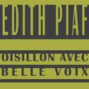 Oisillion Avec Belle Voix