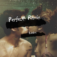 Ed Sheeran-Perfect Extended Bootleg（ZaleLes remix）