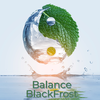 BlackFrost - Balance