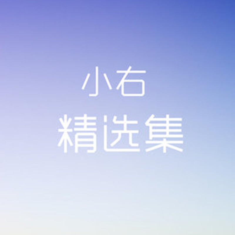 小右精选集