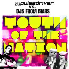 Youth of the Nation (Pulsedriver Radio Mix)