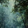 Just Relax Music Universe - Binaural Rain's Calm as Sun Sets