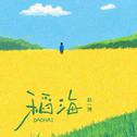 稻海专辑