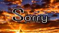 Im so sorry专辑