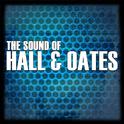 The Sound Of Hall & Oates专辑