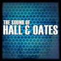 The Sound Of Hall & Oates专辑