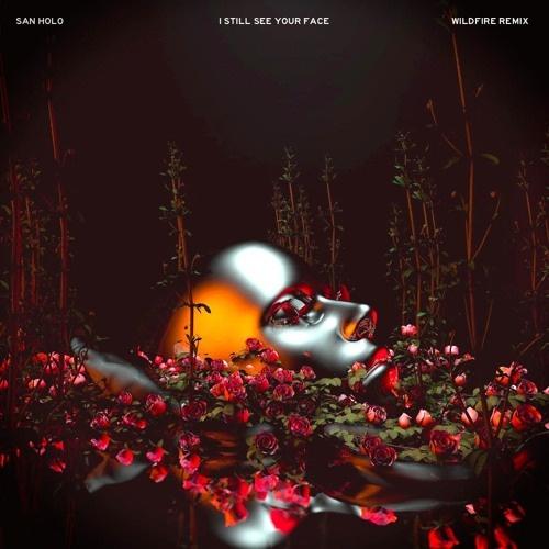 I Still See Your Face (Wildfire Remix)
