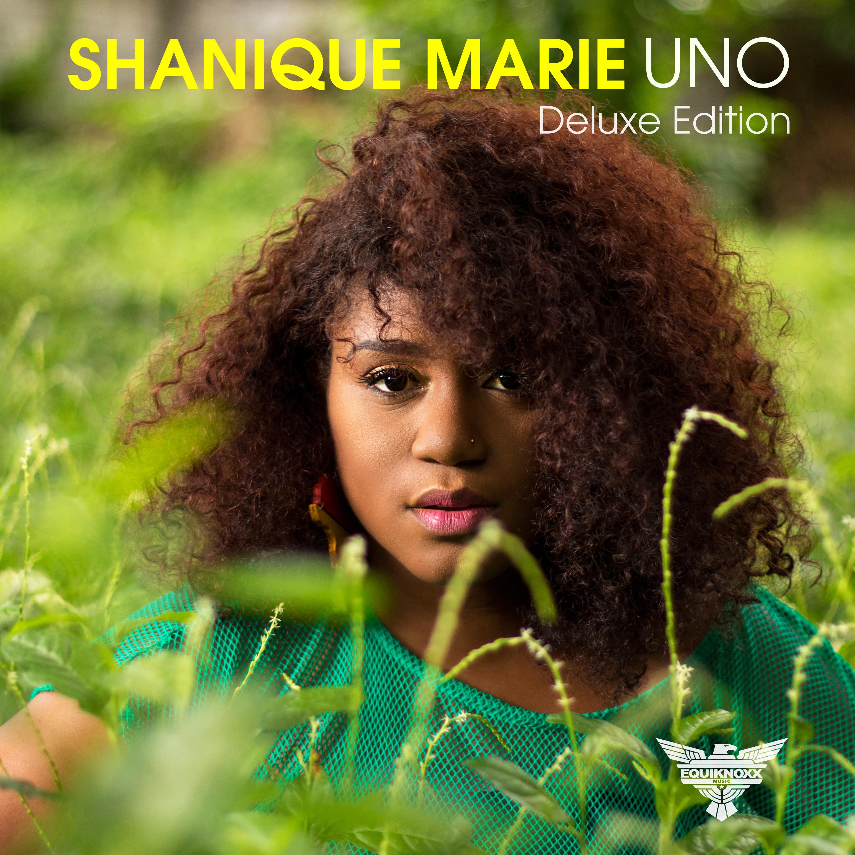 Uno(Deluxe Edition)