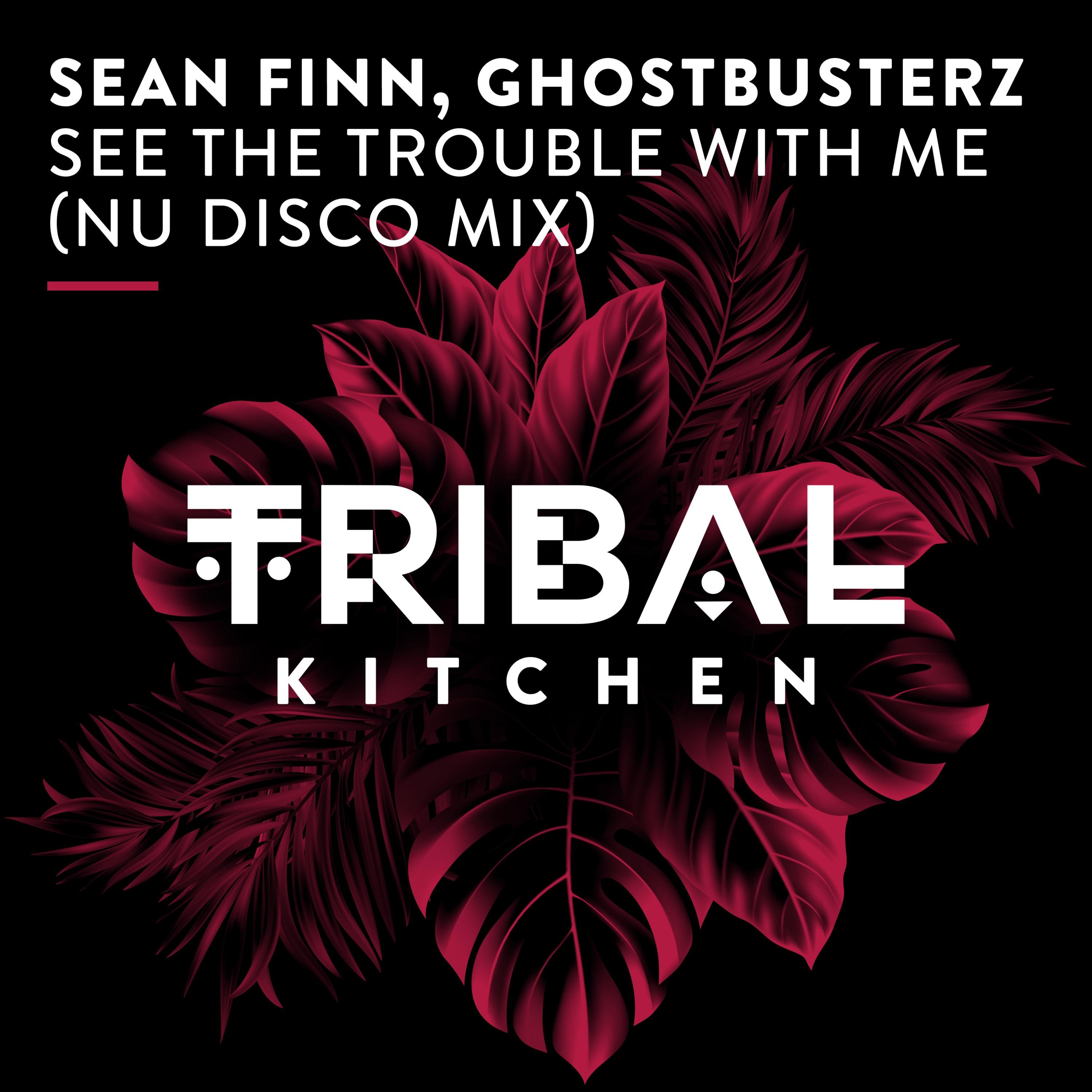 See the Trouble with Me (Nu Disco Extended Mix)