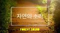 자연의 소리 (숙면, 휴식, 집중 힐링 사운드)专辑