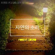 자연의 소리 (숙면, 휴식, 집중 힐링 사운드)