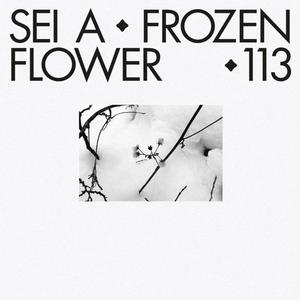 frozen flower （降7半音）