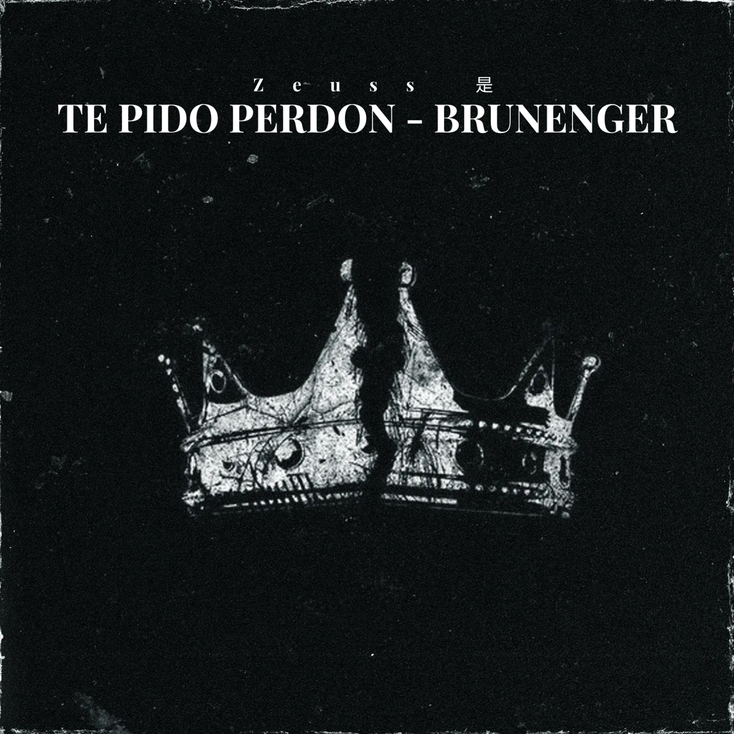 Zeuss 是 - Te Pido Perdon - Brunenger