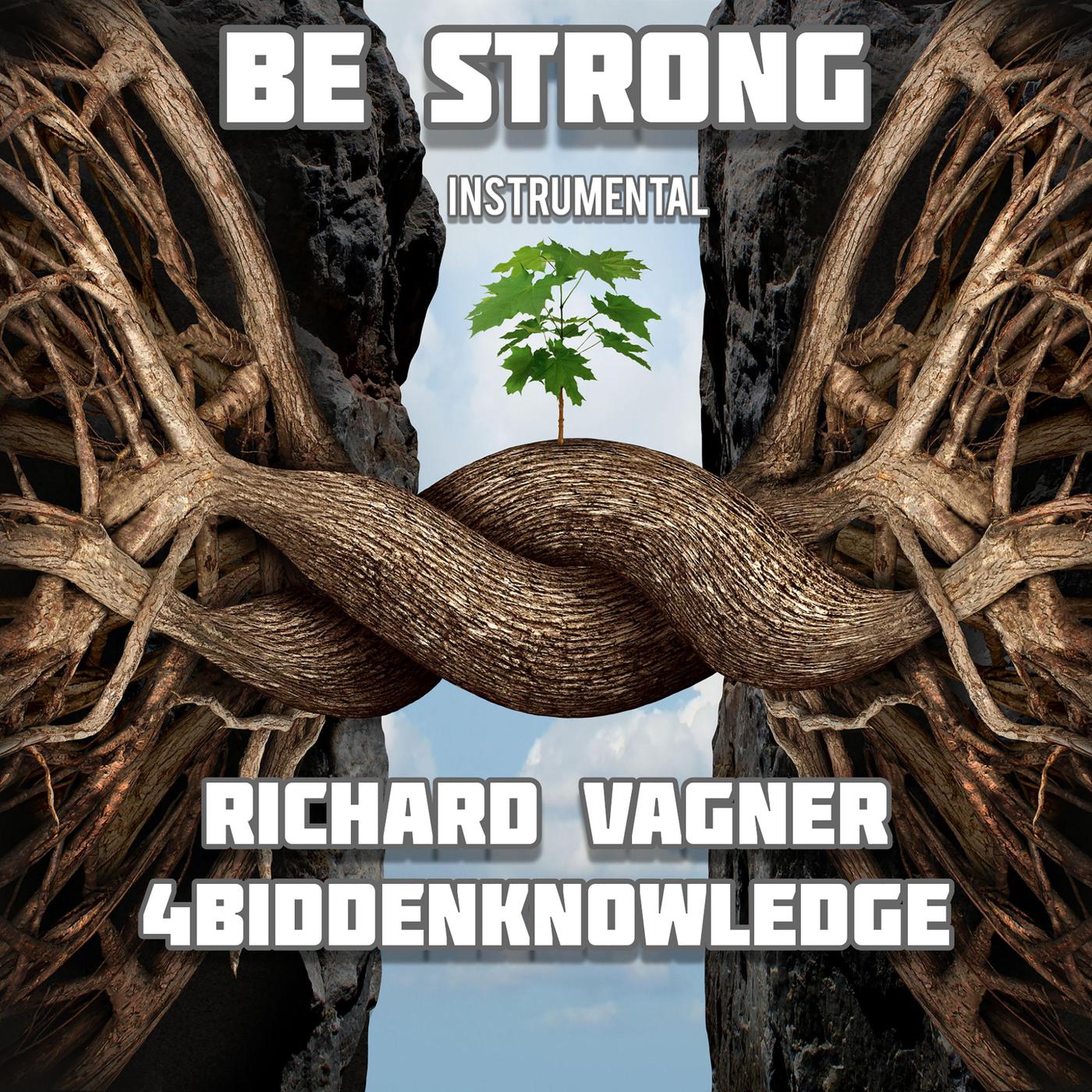 Richard Vagner - Be Strong (Instrumental)