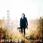 【王朗坤】我把寂寞酿成酒(DJ.Eivin一文 Extended Mix