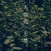 庄妮 - 看见你的爱