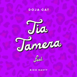 Doja Cat & Rico Nasty - Tia Tamera (Karaoke Version) 带和声伴奏
