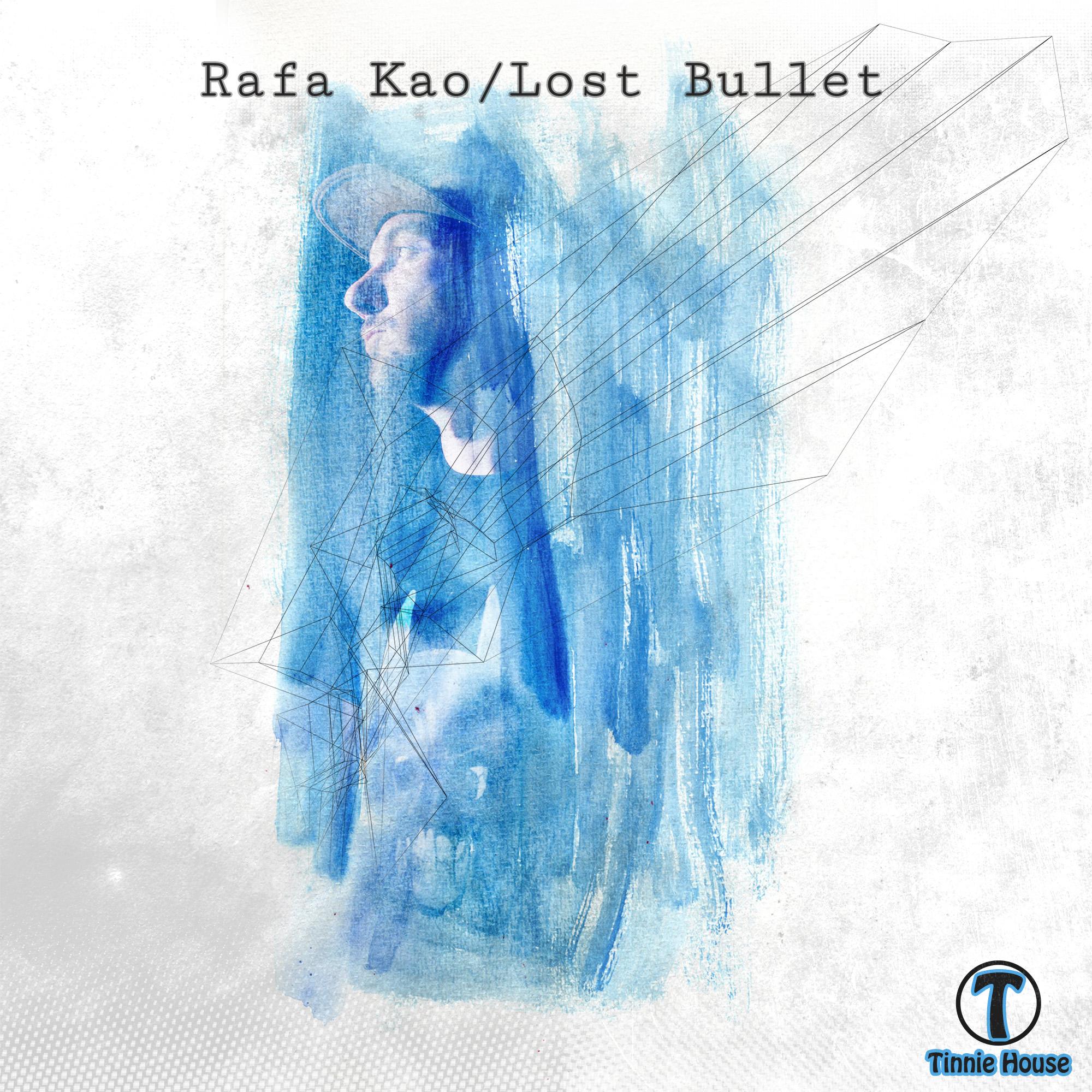 Lost Bullet