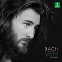 Dynastie - Bach Family Concertos专辑