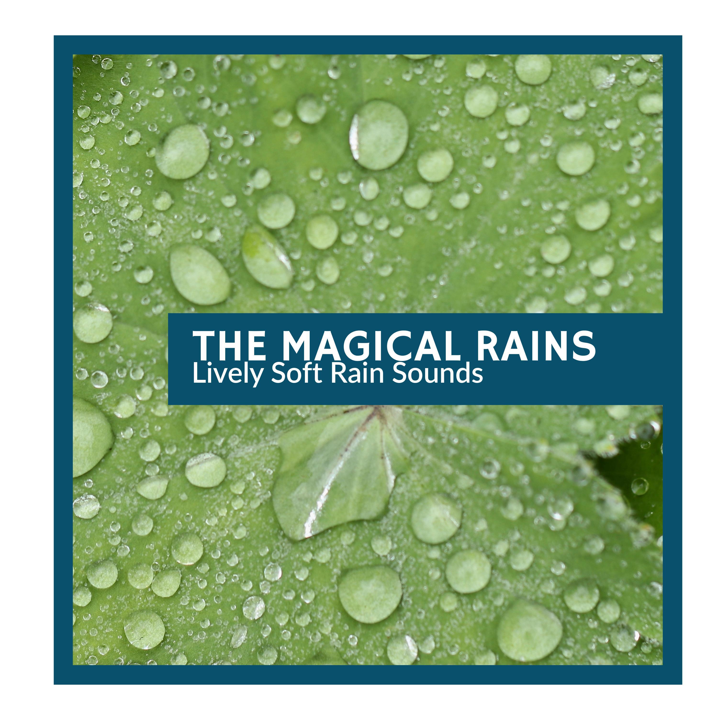 Magical Rain Splash Music - Chilly Distant Wind