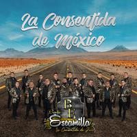 Los Escamilla Y La Chacaloza - Lo Que Paso  Paso (karaoke)
