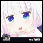 PAW Story REMIX专辑