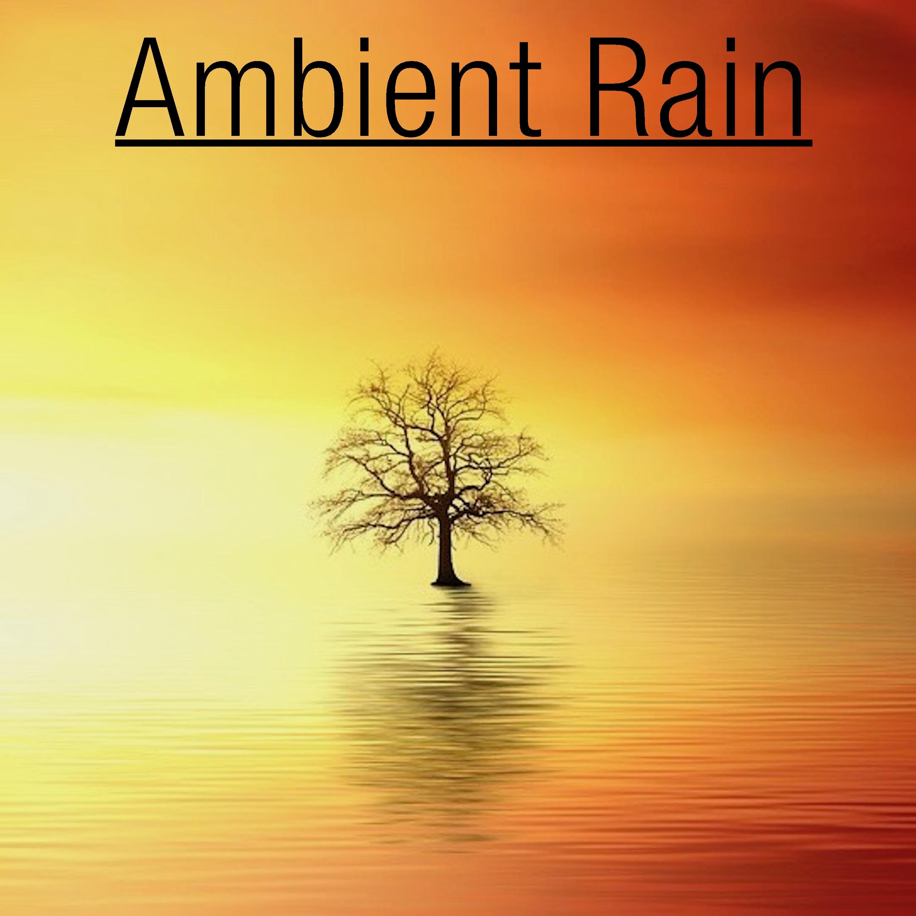 17 Ambient Rain Noises for Sleep & Spa专辑